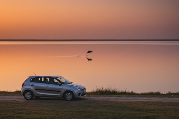 Chilika Lake Self Drive Tour & Dolphin Watching Guide Expert Travel Tips for 2026